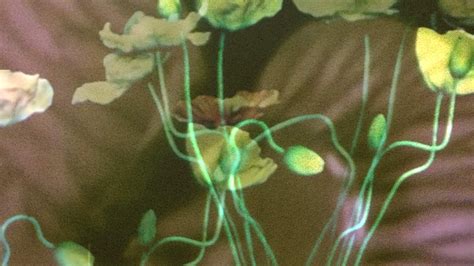 Menus — The Botanist Social