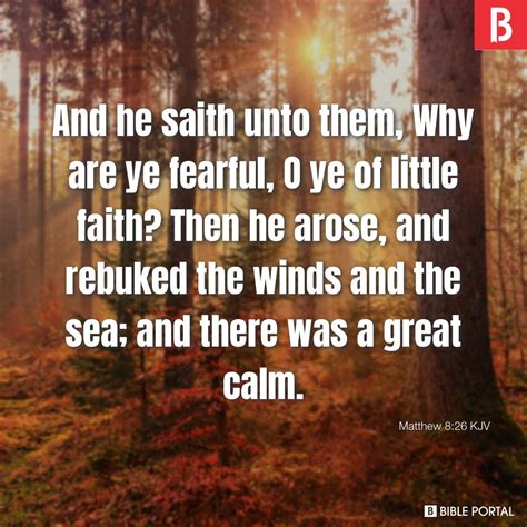 Matthew 8:26 KJV picture - Bible Image- Bible Portal