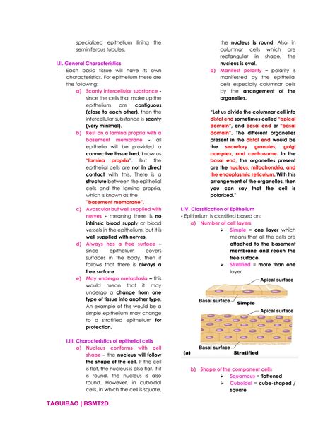 Basic Tissues 的图像结果