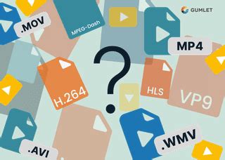 Image result for Video Formats and Containers Explained