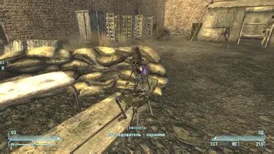 Image result for Fallout New Vegas Randomizer