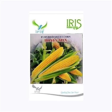 Buy Iris Honey Max Sweet Corn Seeds Online at the Best Price. - KisanShop
