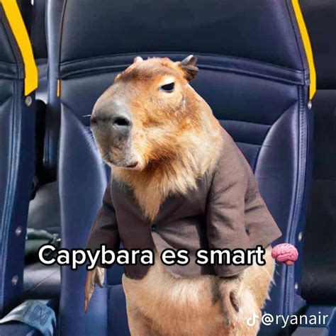 Joignable SMP Java 的图像结果