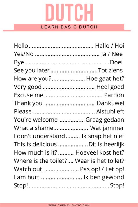 Dutch Language Example 的图像结果
