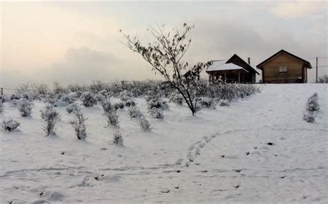 Drvene kuće su sigurne i otporne na potrese