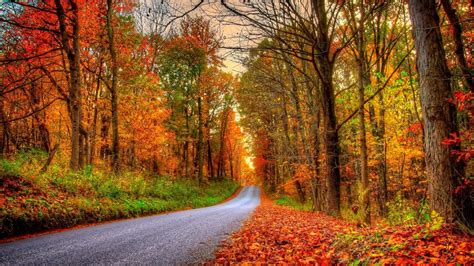 Image result for Free Fall Desktop Themes