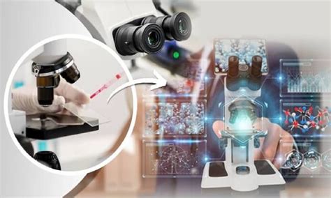 IIITH, NIMS collaborate to digitize pathology glass slides