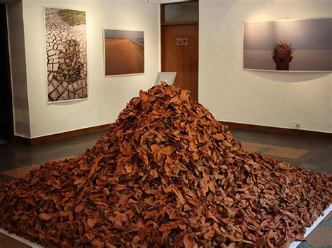 Nature, Interrupted: 8 Art Installations That Talk Green - Green Art ...