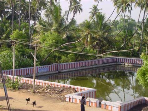 Kumaravayalur - JungleKey.in Image