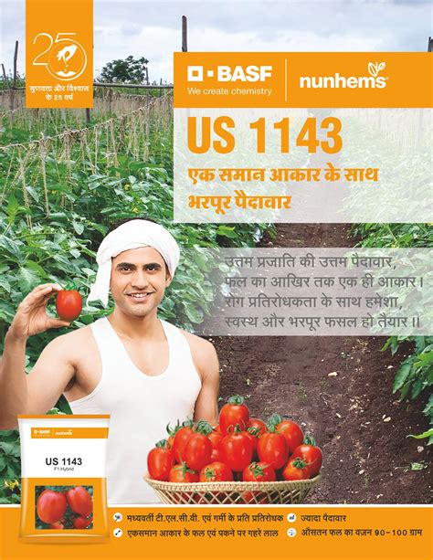 Buy Online Nunhems Tomato US 1143 - 3000 Seeds