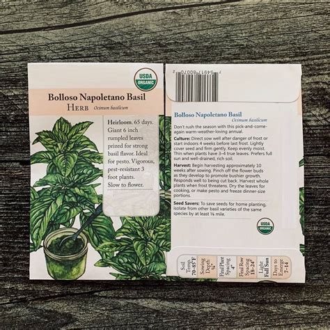 VibeX ® XXL-1 Basil Napoletano Ocimum basilicum Seed Price in India ...