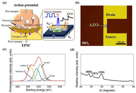 Low-Cost, High-Efficiency Aluminum Zinc Oxide Synaptic Transistors ...