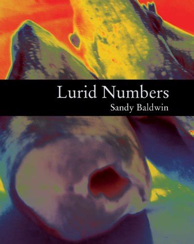 Lurid Numbers eBook : Baldwin, Sandy: Amazon.in: Kindle Store