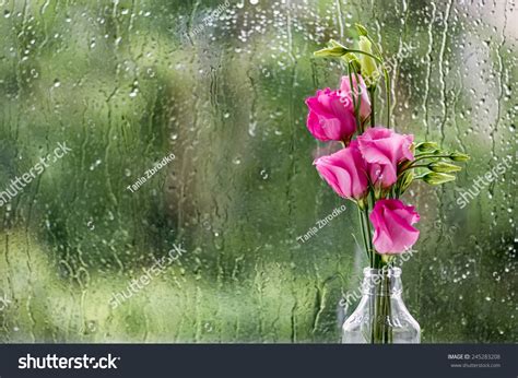 Top 999+ rainy day images – Amazing Collection rainy day images Full 4K