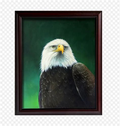 美式金鹰装饰画PNG图片素材下载_图片编号8301489-PNG素材网