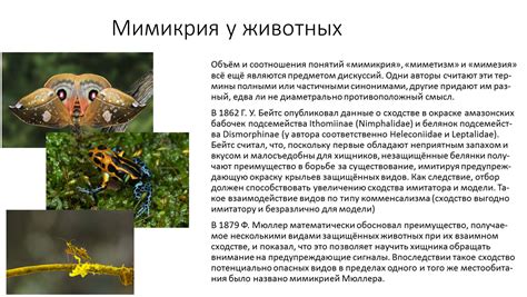 Презентация "Мимикрия". Автор Запорожец Людмила Юрьевна