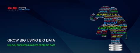 Scalable Software 的图像结果