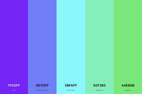25+ Best Violet Color Palettes with Names and Hex Codes - CreativeBooster
