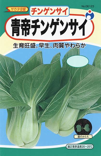 【攻略記事】異聞六根山:怨霊モウコ : イディルシャイア居住区