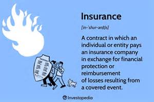 Insurance Policy Explained 的图像结果