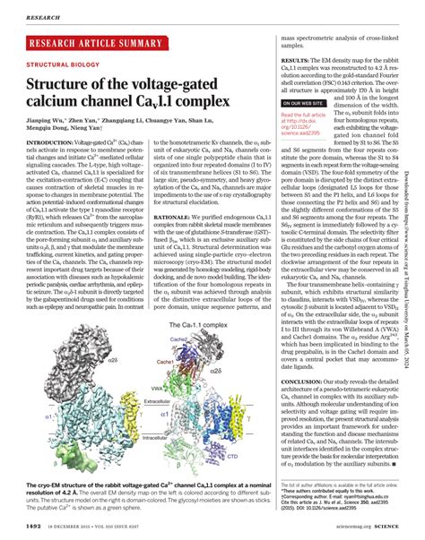 Image result for Calcium Channel Complex