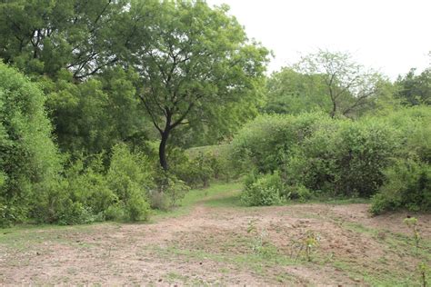 Samadhi of Raskhan – Echoes of Time