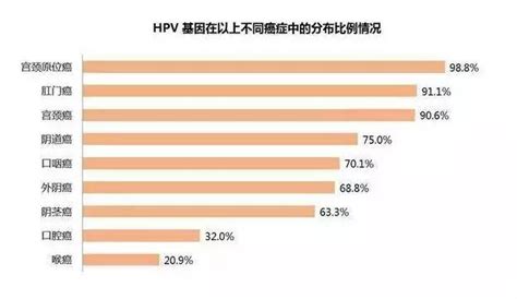 HPV其他12型阳性是什么意思_语音科普_杏林普康