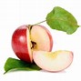 Image result for A Branch of an Apple Fruit Only