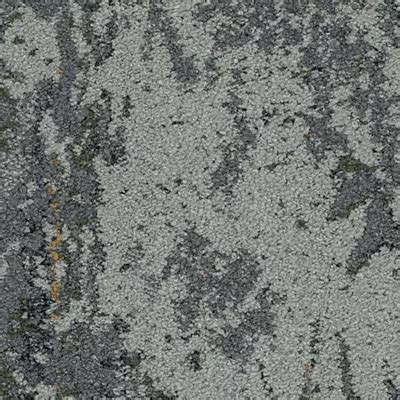 Style: MycoBiome(GT358) | Color: Brittle Cinder(936) | Mohawk Group