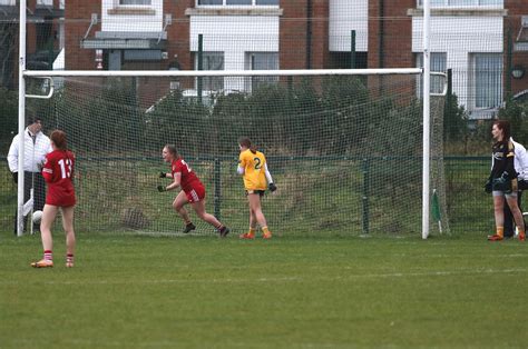 Gaelic Games: Louth complete late comeback to deny Antrim ladies in ...