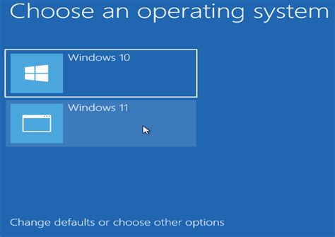 Image result for Win Dual Boot