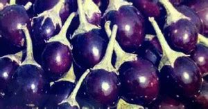 Sjeme Pusa Ankur brinjal / baigun seeds Seed Price in India - Buy Sjeme ...