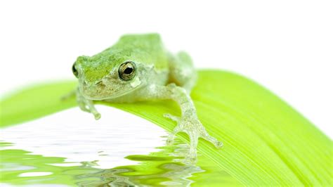 Image result for Additive Effect Examples