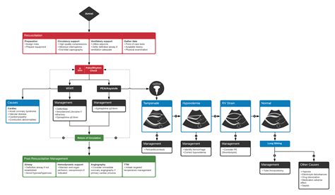 ACLS Algorithm Chart 的图像结果