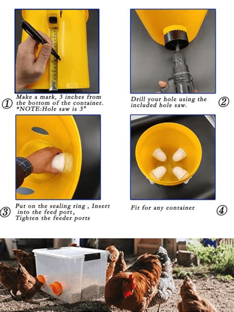 Alimentadores para Galinhas e Patos, Alimentadores de Aves de Capoeira ...