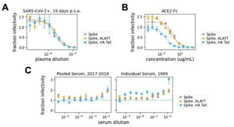 Protocol and Reagents for Pseudotyping Lentiviral Particles with SARS ...