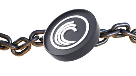 BitTorrent Network 的图像结果