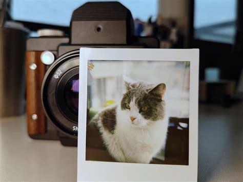 пленочная фотография