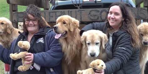 You can play with a dozen golden retrievers while drinking cider at ...