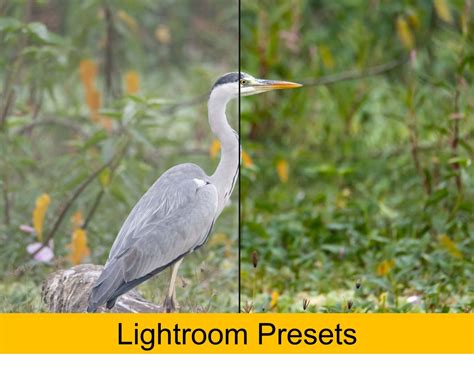 Image result for Focal Length Comparison