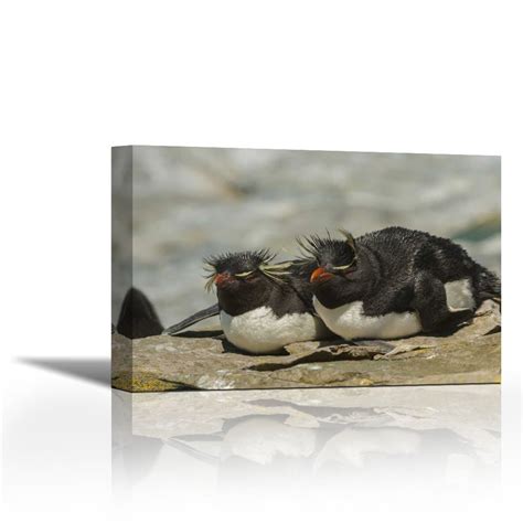 Buy Karmakara Sea Lion Island Rockhopper penguins resting - Fine Art ...