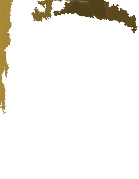 Scanning Electron Micrograph 的图像结果