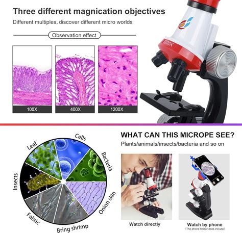 Kids First Microscope 的图像结果