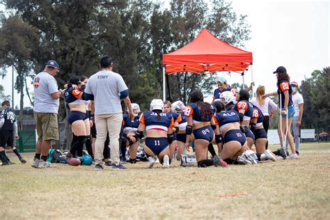 University New Sport 的图像结果