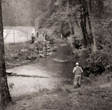 Chattahoochee Forest National Fish Hatchery | U.S. Fish & Wildlife Service