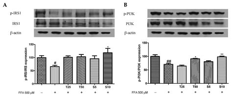 Taxifolin and Sorghum Ethanol Extract Protect against Hepatic Insulin ...