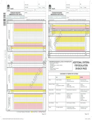 Spoc Chart 0 3 Months - Fill and Sign Printable Template Online