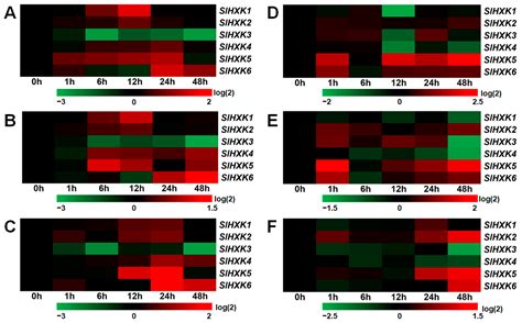 Genome-Wide Identification and Expression Analysis of Hexokinase Gene ...