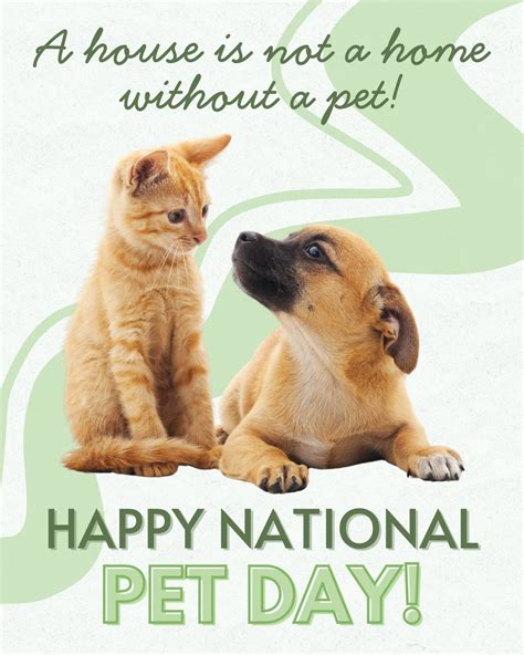 Art City Vets & Urgent Care (@artcityvets) • Instagram photos and videos