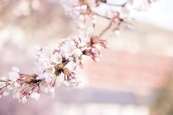 Image result for HTML Format for Text Generation